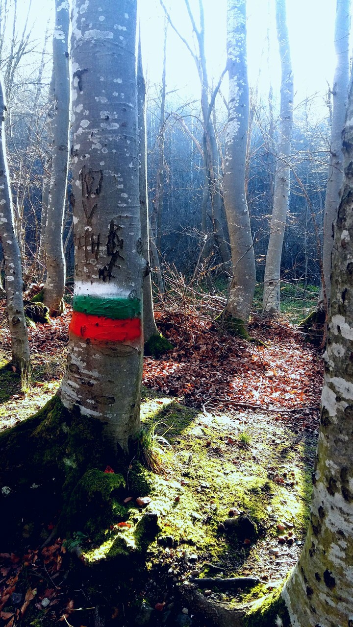 Bulgaria <3