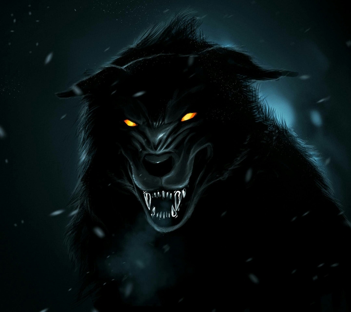 night dog