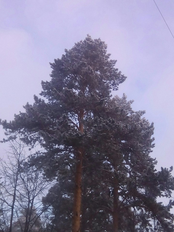 Зима.