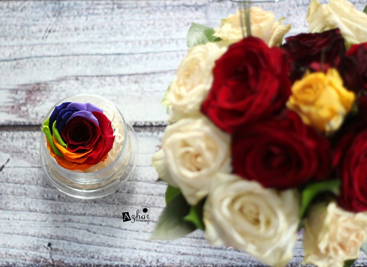 colorful flowers