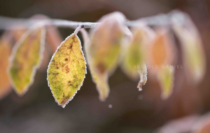 herbstlich