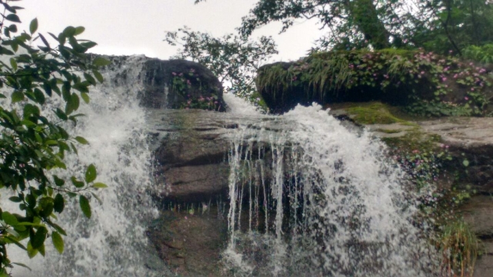 निसर्ग