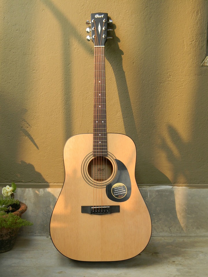 Guitar