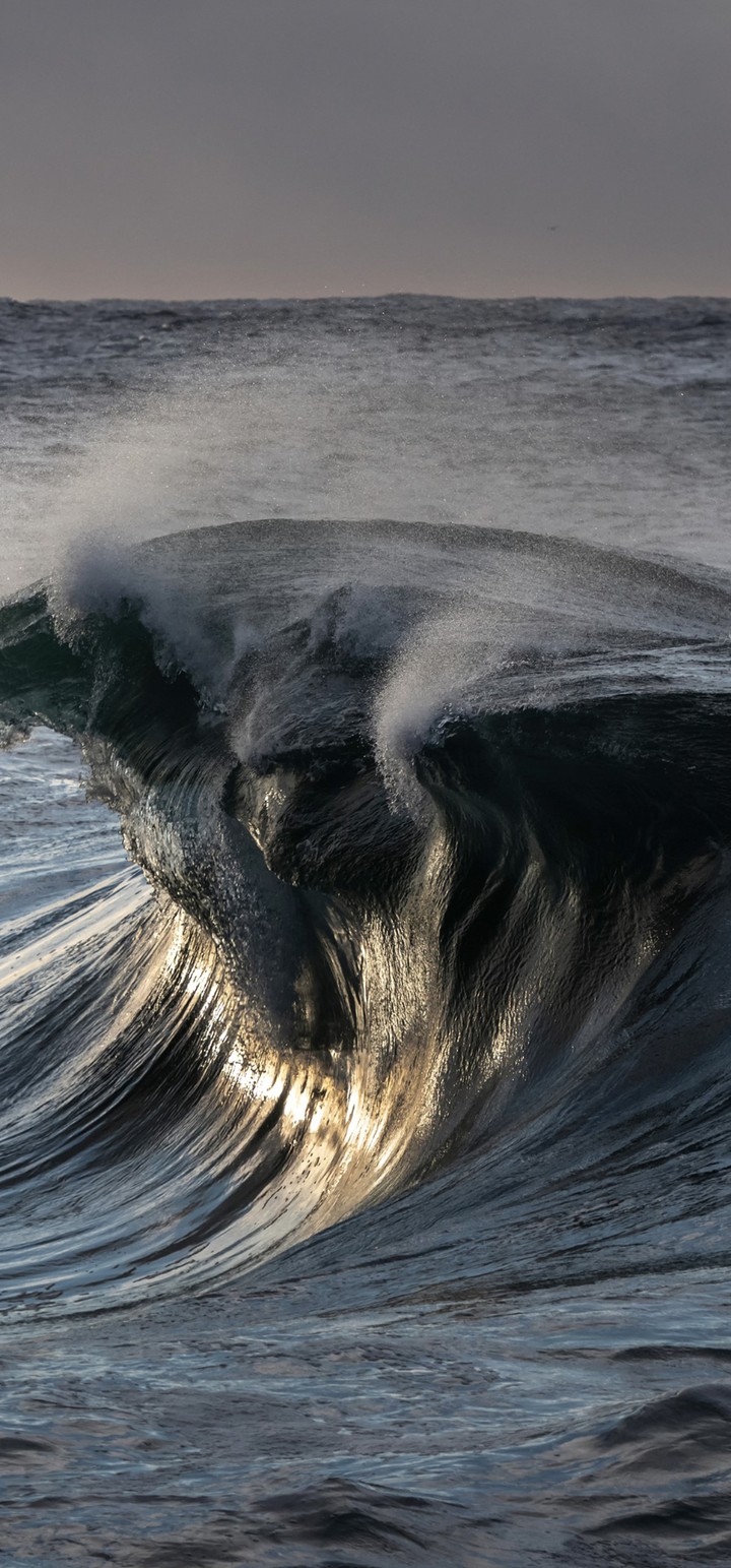 Beautiful wave