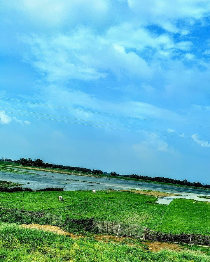 Countryside of Bihar
