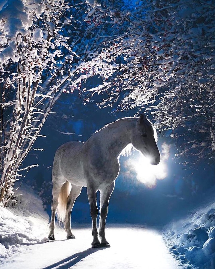 Winter