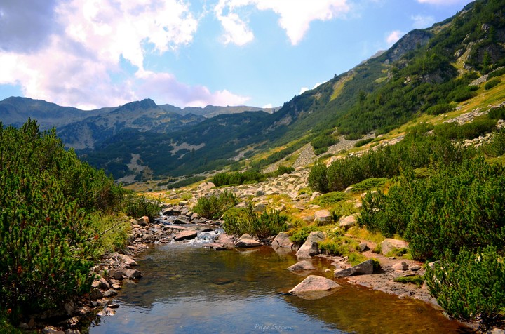 Pirin