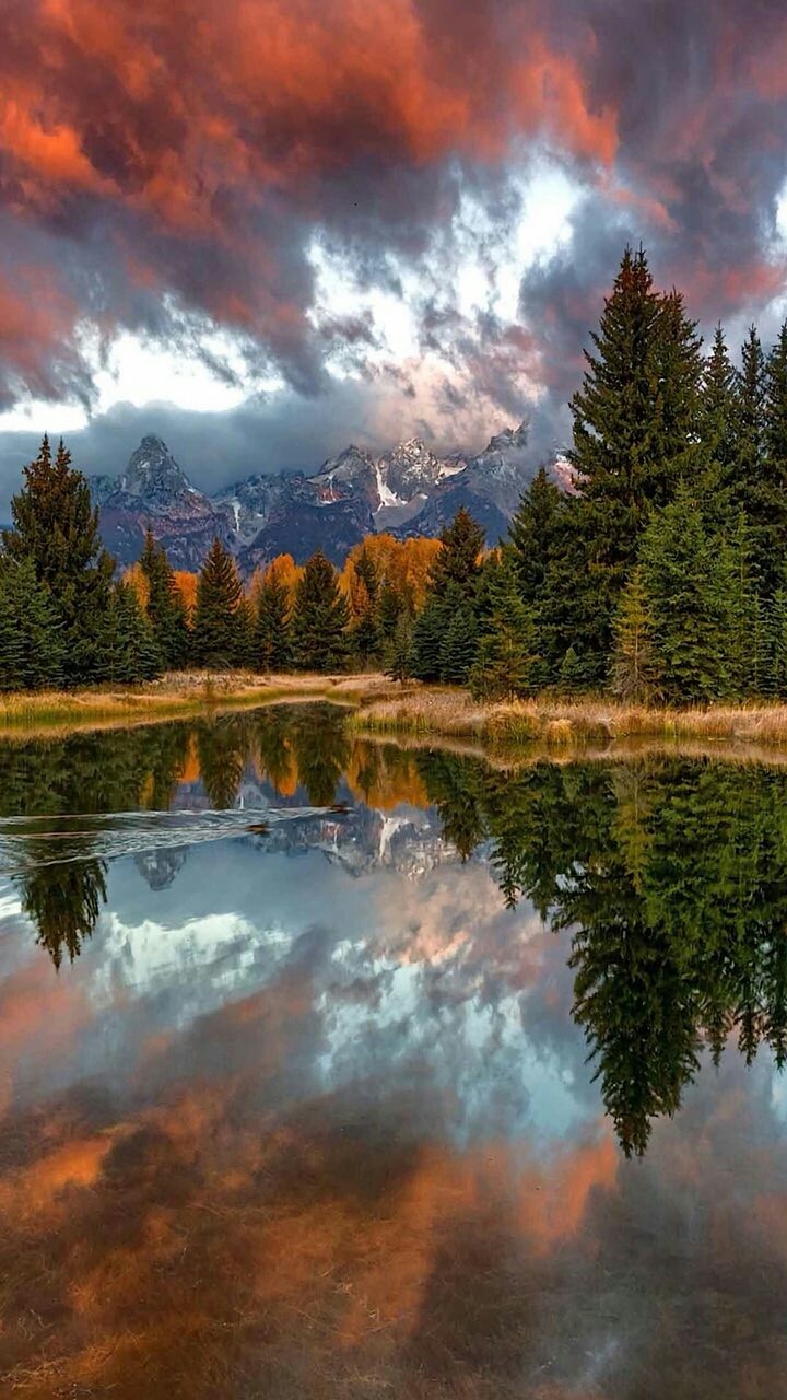 #nature
