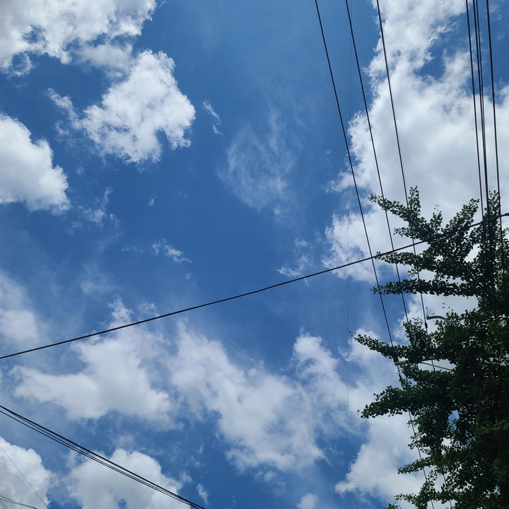 하늘