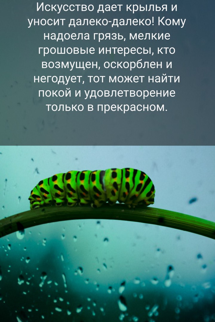 #природа #гусинеца #мир #жизнь