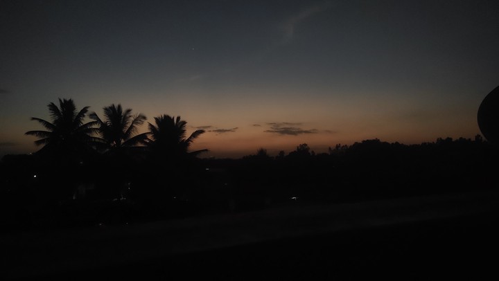 nature