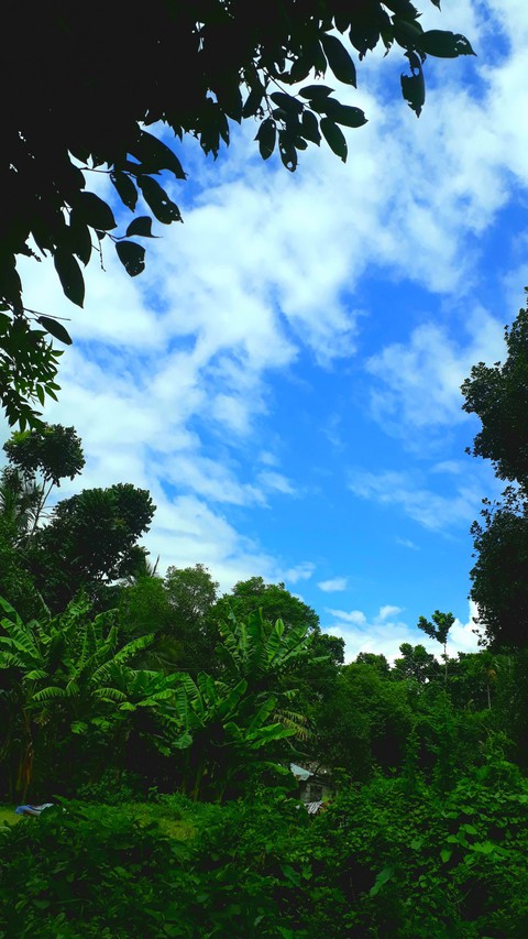 sky