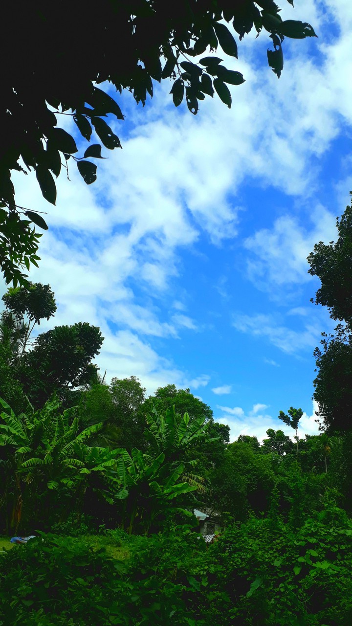 sky