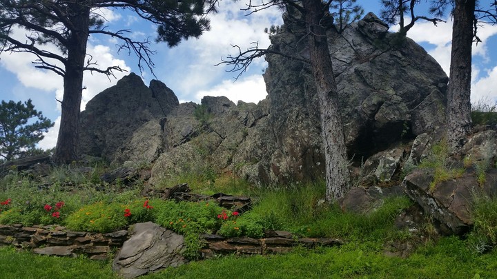 Stone and Flowers