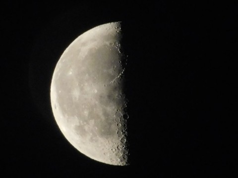 Moon