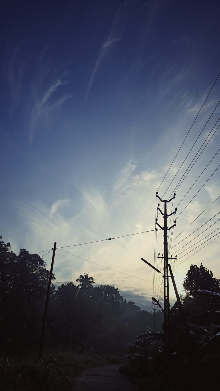 Morning view