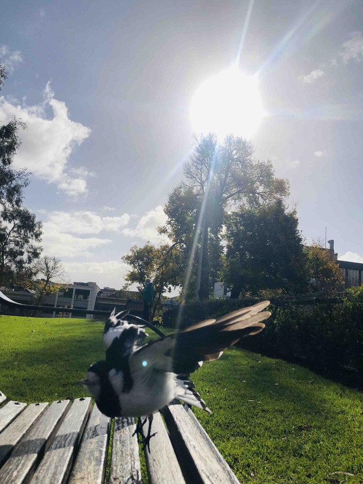 Sunny day