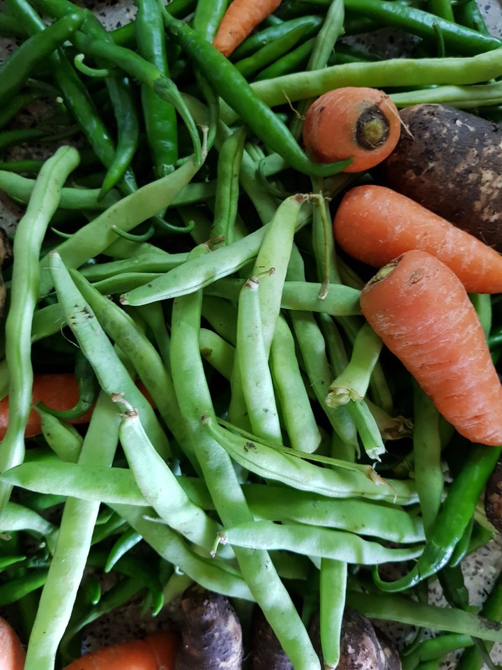vege