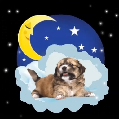 Good night and sweet dreams.