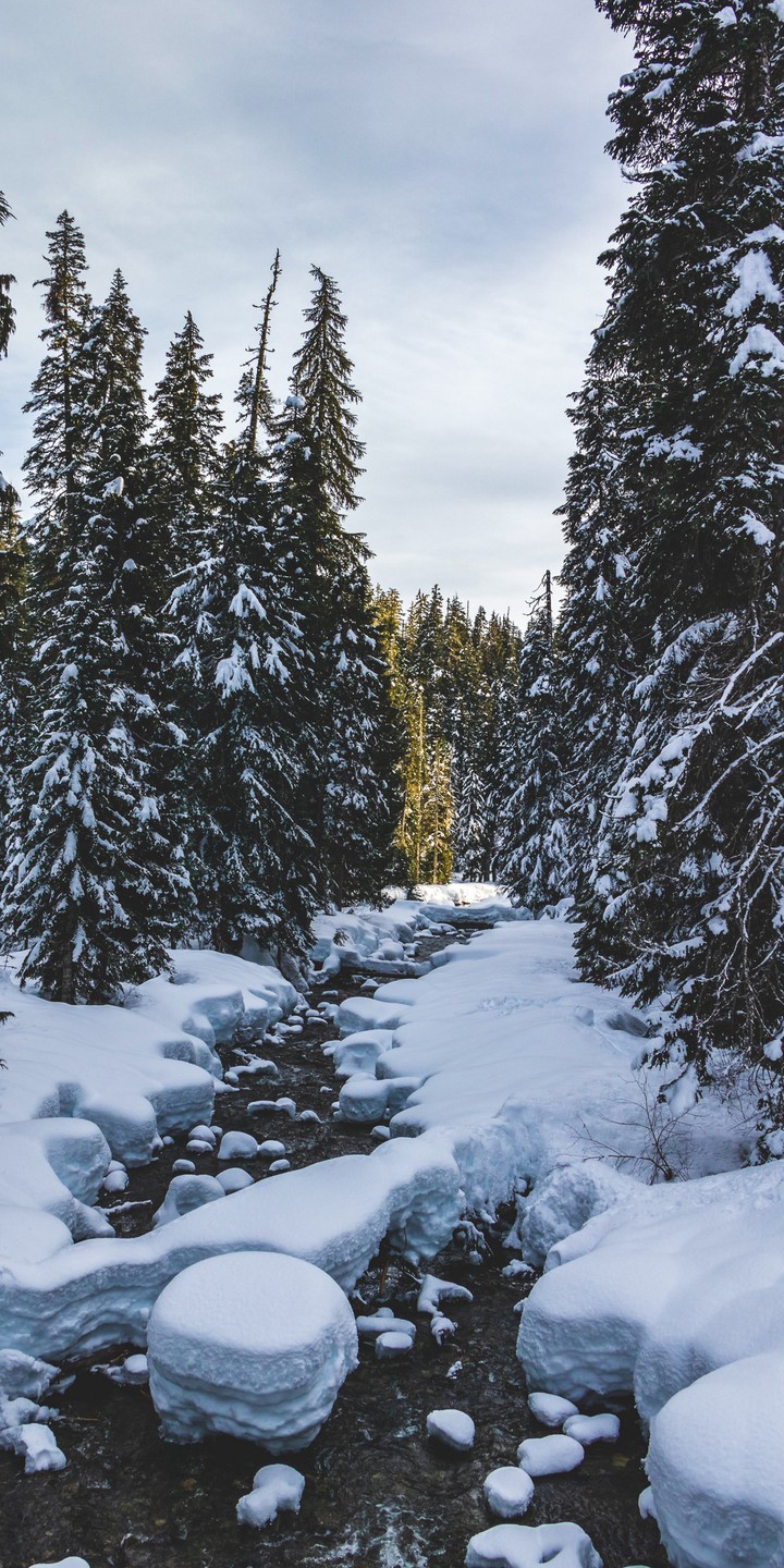 winters