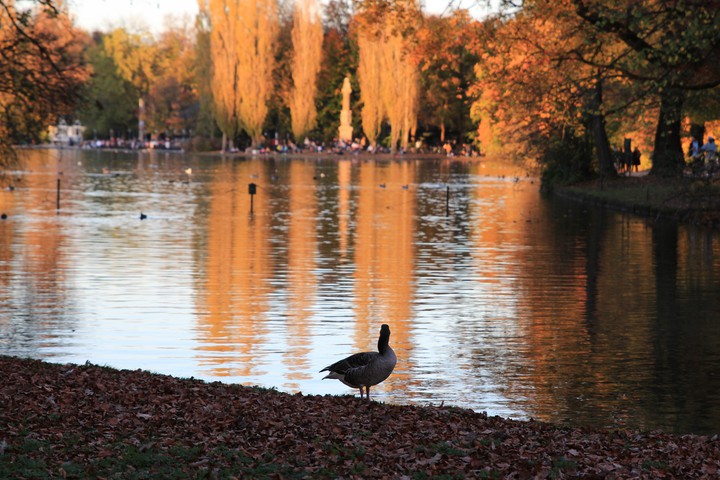 Englischer Garten