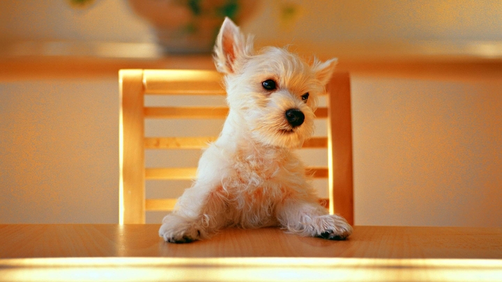 It's time for lunch