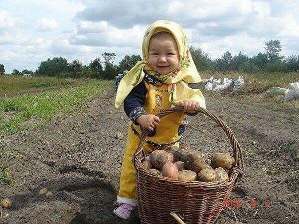 хозяюшка
