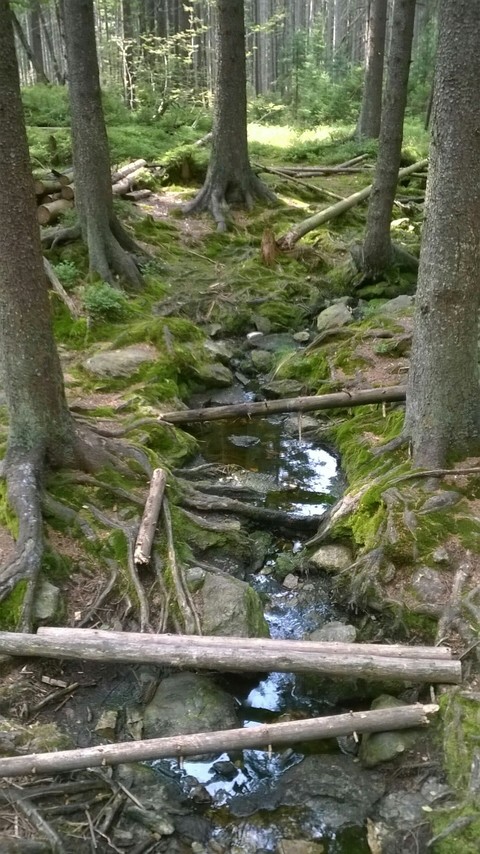 Šumava