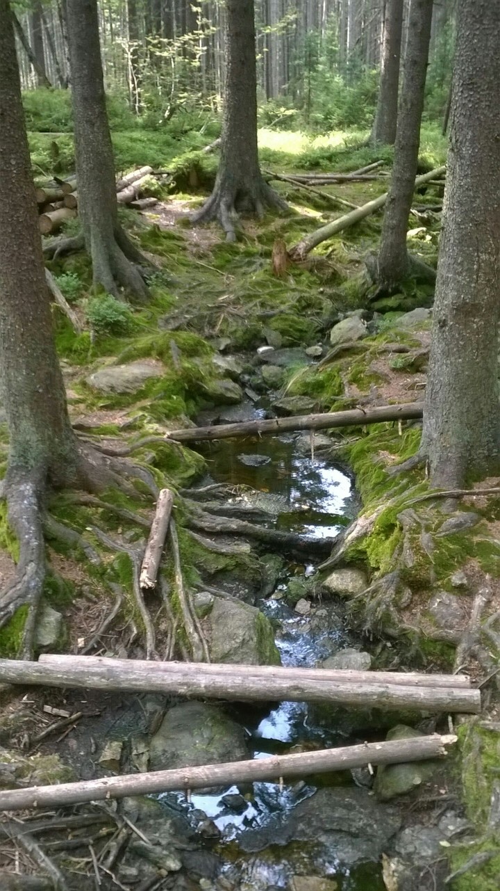 Šumava
