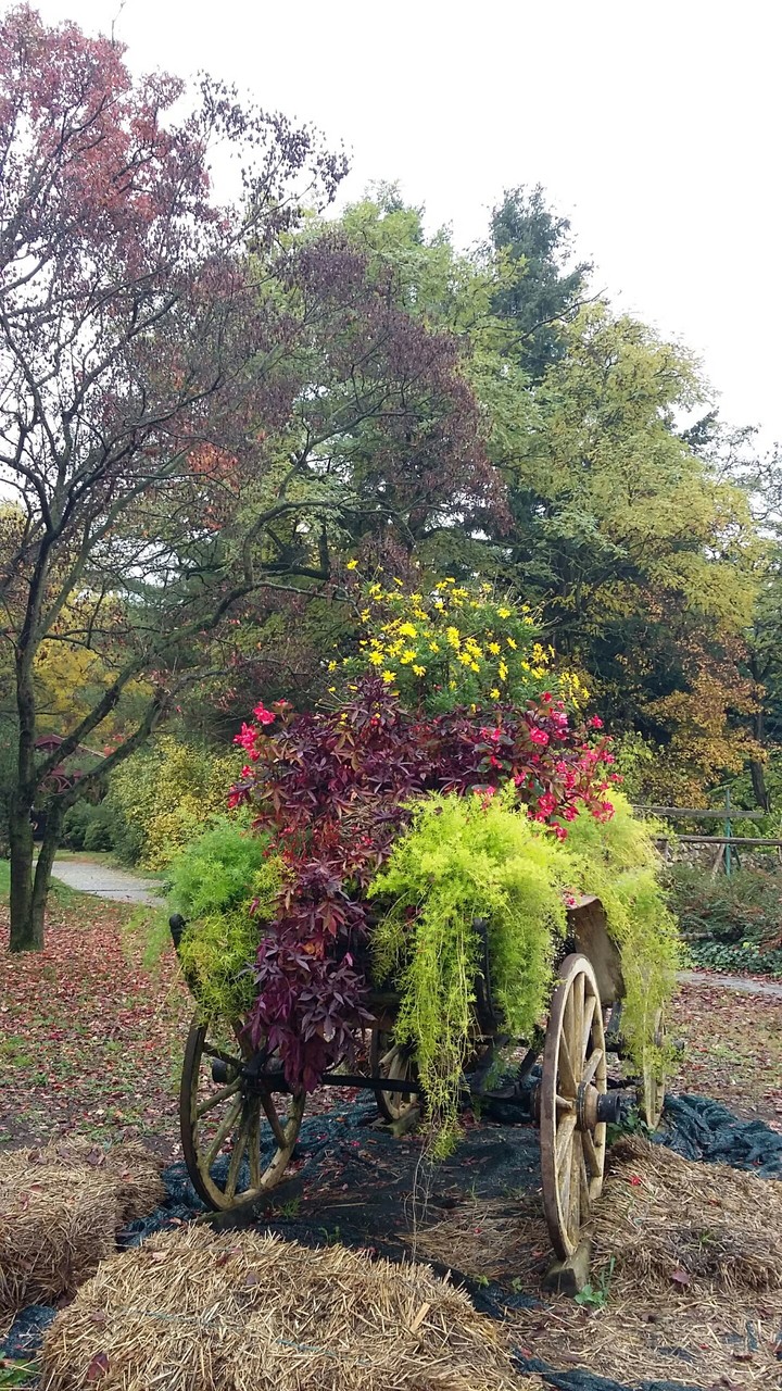 autumn
