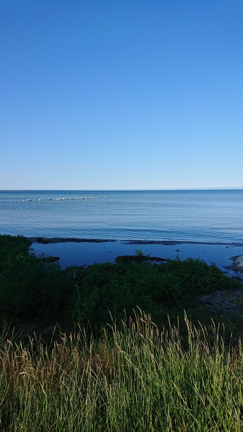 A new day in Hällevik Sweden