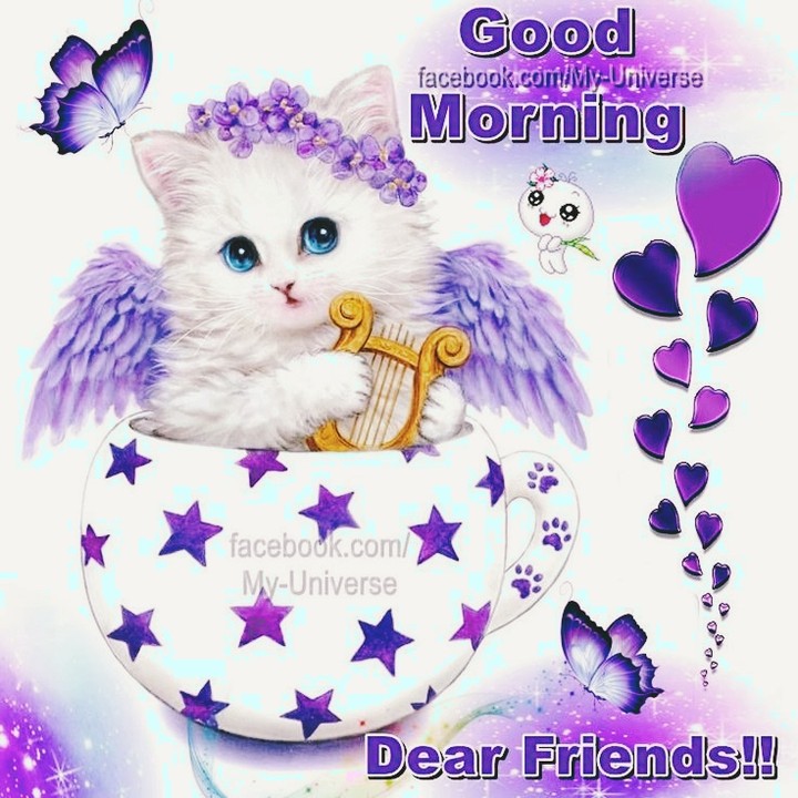 good morning