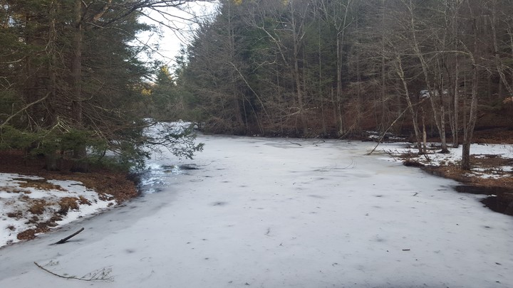Frozen River