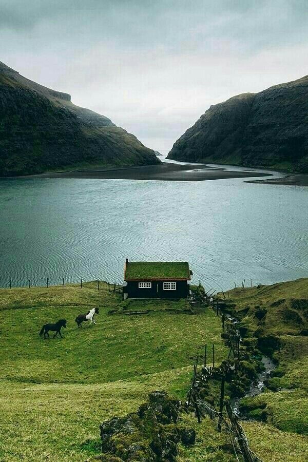 lovely