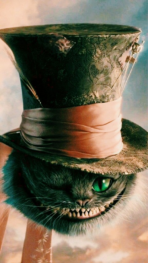 hình nền green, cat