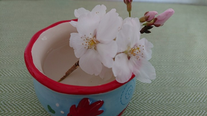 桜