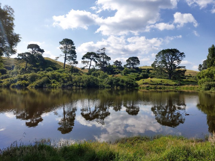 reflected in the water