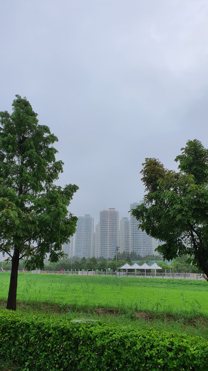 흐린 아침(cloudy morning)