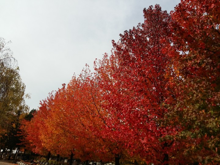autum