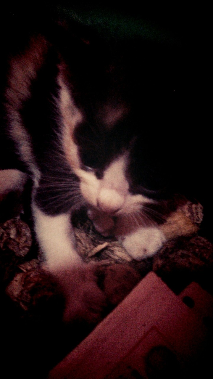my black one