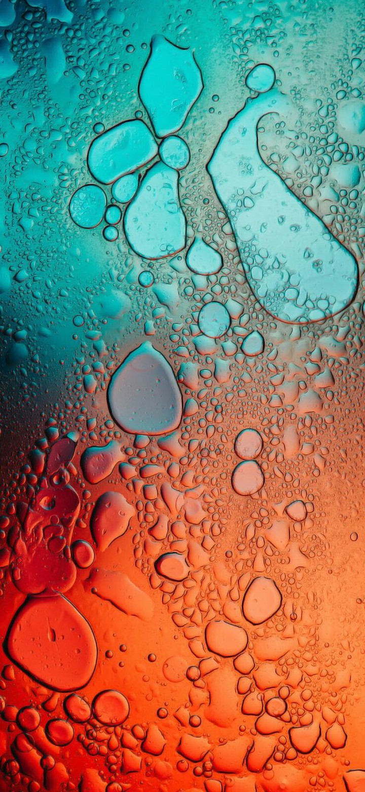 Two Collors