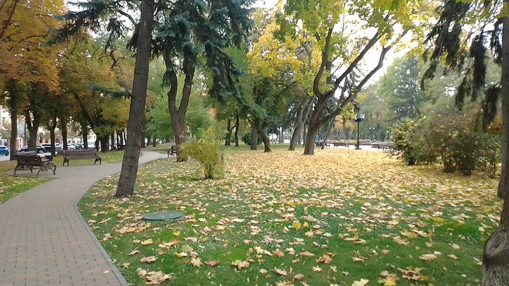осенний парк