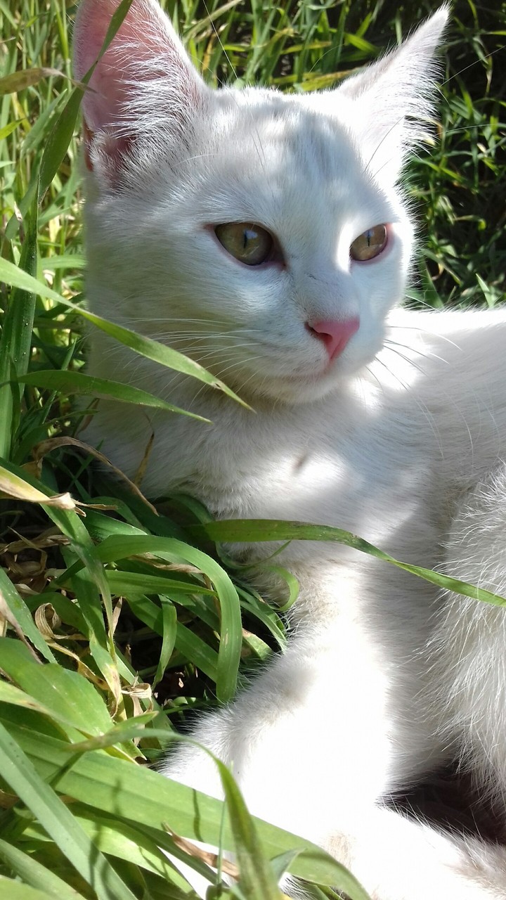 my cuty