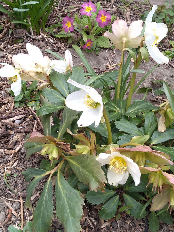Springtime
