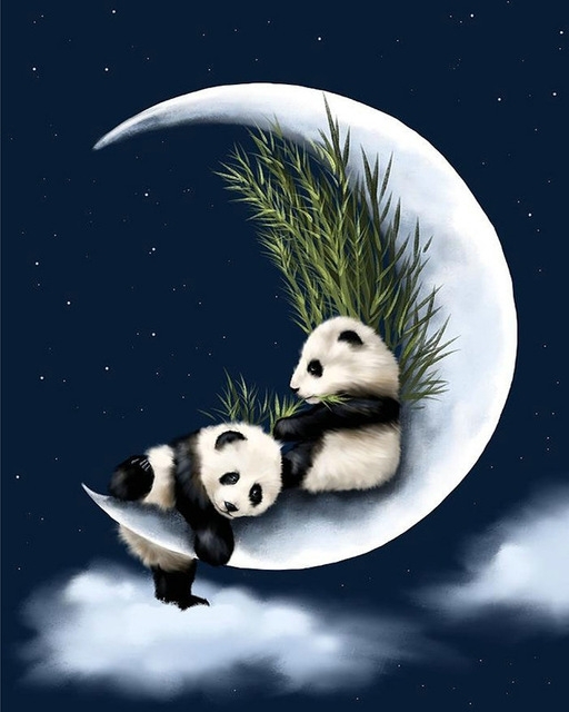 panda