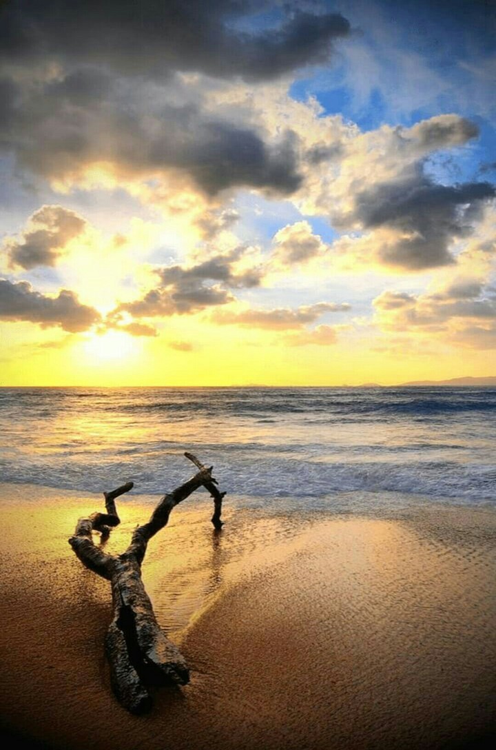 Sea side