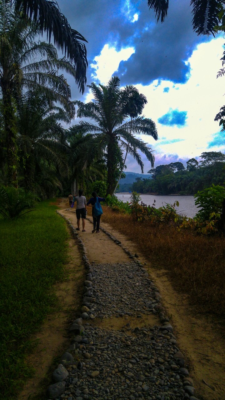 nature