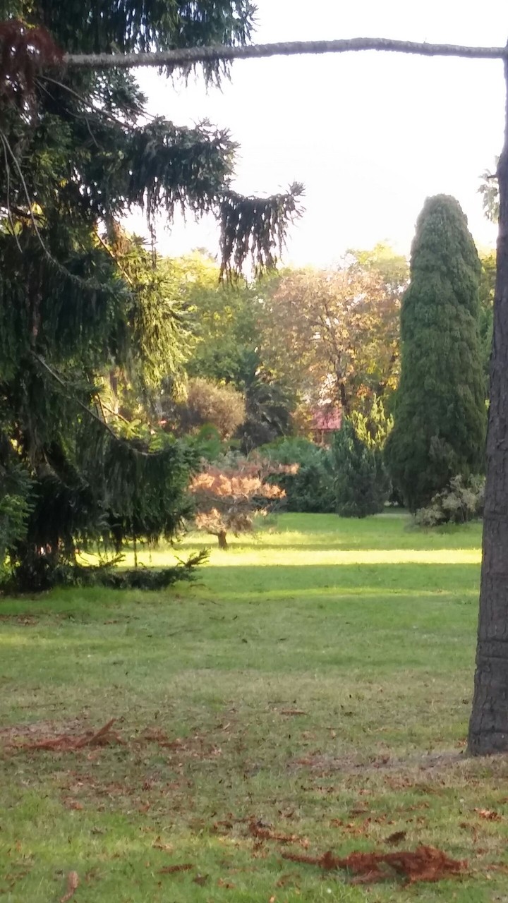 Montevideo El Prado