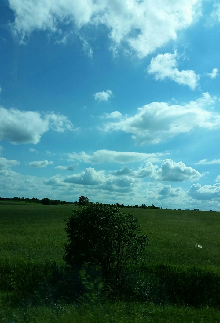 поле