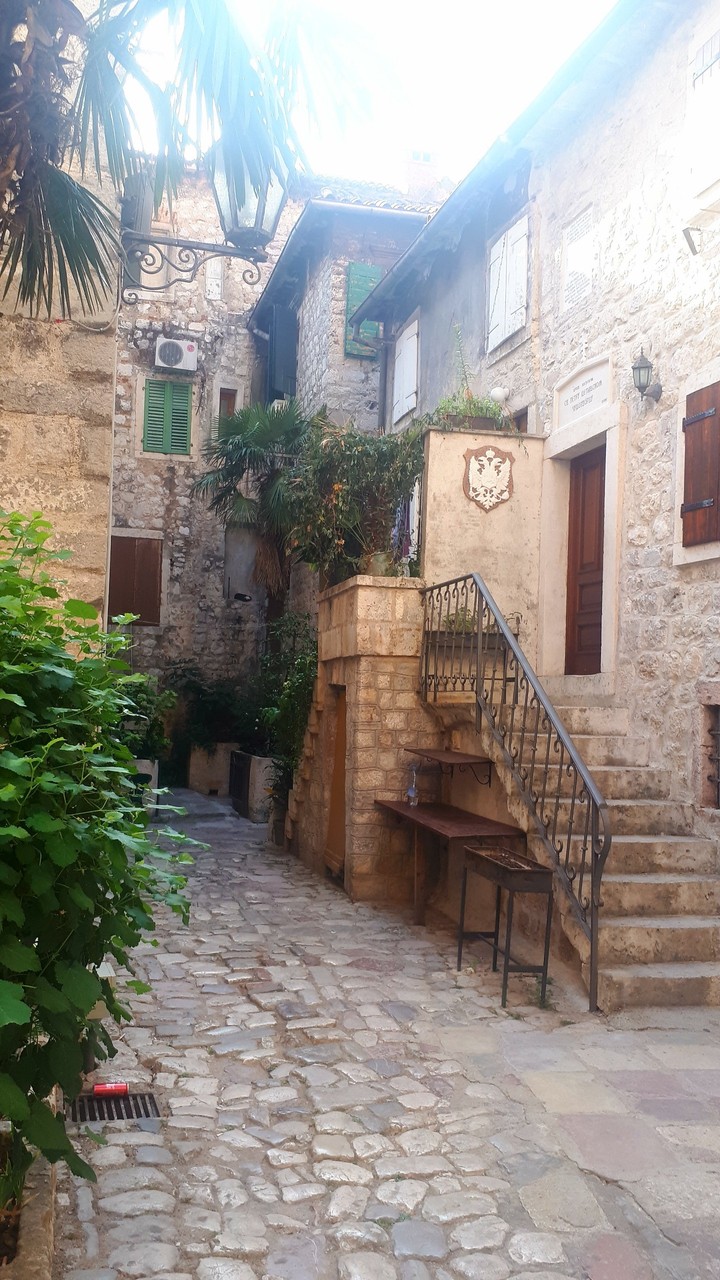 Kotor